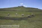 _mg_7676 _mg_7676