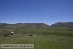 _mg_7690 _mg_7690