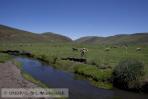 _mg_7696 _mg_7696