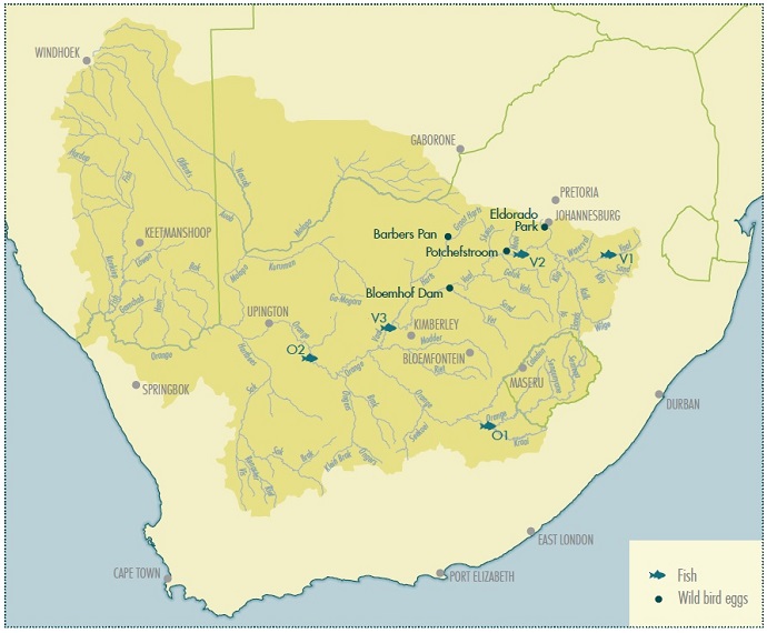Wild Birds and Fish Sites